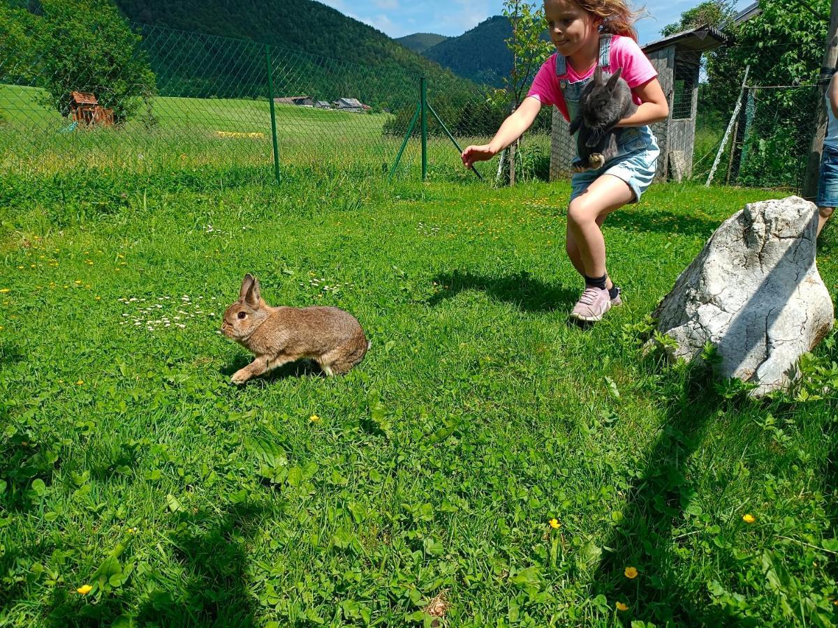 Biohof Untergrabenbauer Daire Lidaun Dış mekan fotoğraf